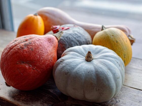 Seasonal pumpkin by Natoora